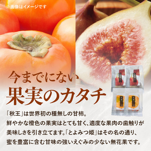 ドライフルーツ 潤果（柿・無花果）セット ドライフルーツ ブランド果実 柿 秋王 いちじく とよみつ姫 着色料不使用 保存料不使用 甘味 おやつ お茶菓子 おつまみ 贈答品 プレゼント ギフト 福岡県