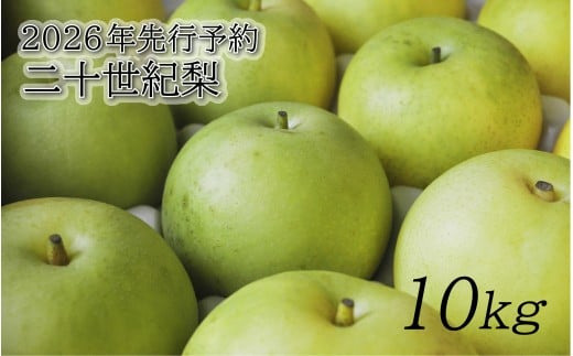 【2026年 先行予約】二十世紀梨 10kg｜鳥取 東光園 梨 2026年収穫後 2026年8月下旬～9月頃順次発送※着日指定不可【41055】