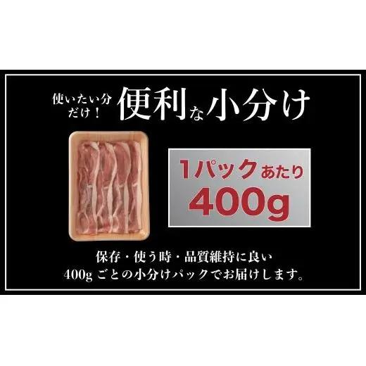【12回定期便】 長崎県産 豚肉 モモスライス 1.6kg (400g×4) 総計19.2kg 定期便 小分け 冷凍 豚肉 しゃぶしゃぶ すき焼き ぶたにく 国産豚 12回 定期便 