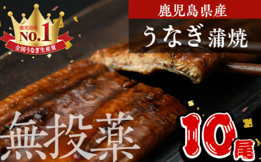 鹿児島県産うなぎ蒲焼 (1尾あたり136g～155g×10尾、タレ・山椒付き) 鰻 ウナギ うな重 ひつまぶし かばやき 九州産 国産 冷凍【西日本養鰻】D34