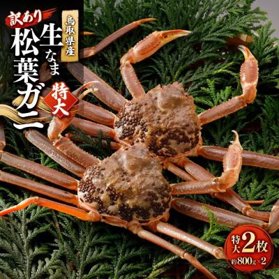 ふるさと納税 境港市 <11月中旬〜2月下旬配送予定>鳥取県産　訳あり生松葉ガニ(特大2枚)