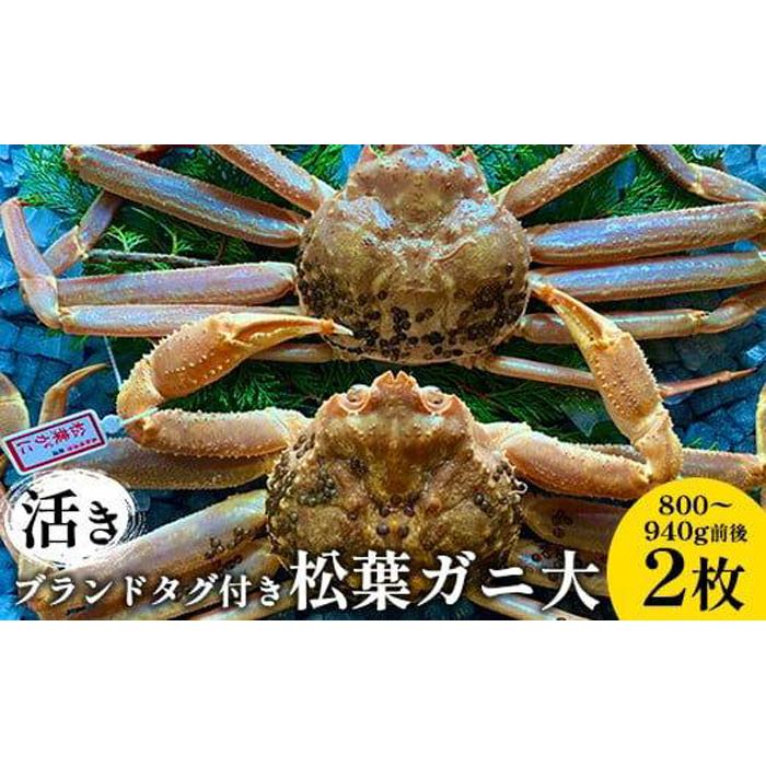 【ふるさと納税】105.【先行予約】【活き】ブランドタグ付き松葉ガニ 大　800～940g前後 2枚 ※2025年11月上旬～2026年3月上旬頃に順次発送予定 | 松葉ガニ 松葉蟹 蟹 かに 甲殻類 ズワイガニ 鳥取県 北栄町 おすすめ 人気 送料無料