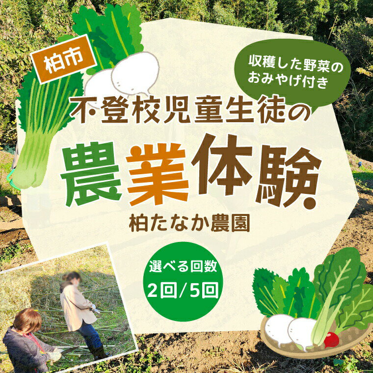 【ふるさと納税】体験 チケット 2回 5回 不登校児 不登校生徒 居場所 学び 手伝い 野菜収穫 旬の野菜 収穫体験 食育 収穫体験 農業体験 体験 収穫 野菜 子供 親子 農作物