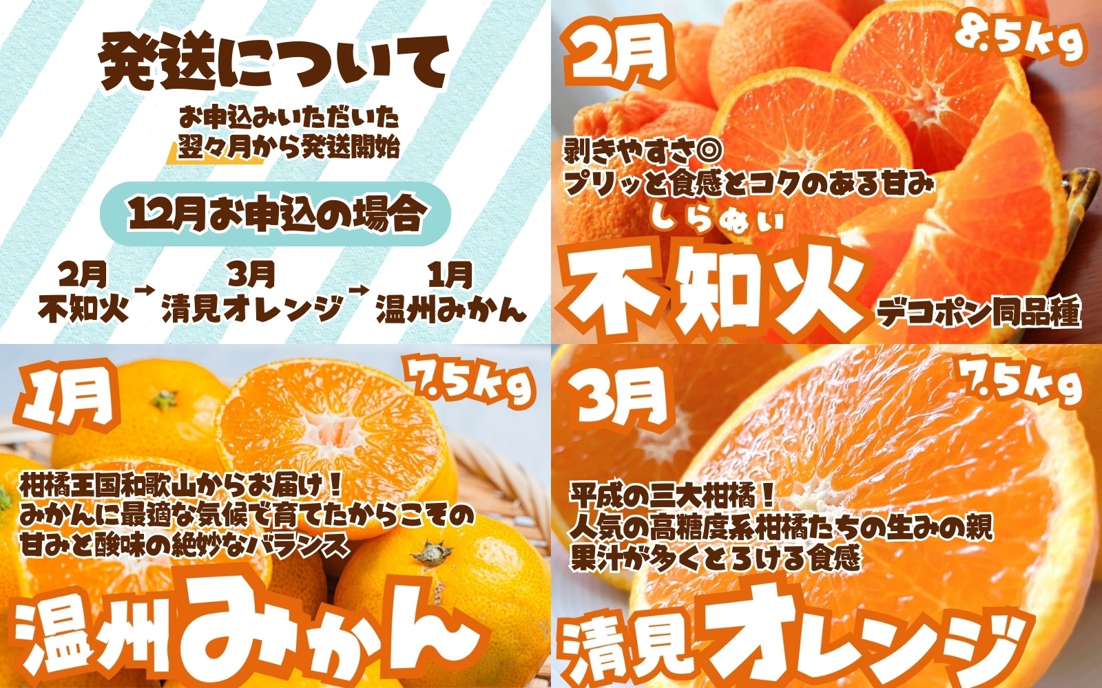 【3か月定期便】たっぷり届く♪訳ありみかんの定期便 / 訳あり 有田みかん 果物 フルーツ 柑橘 みかん ミカン くだもの 定期便 訳ありみかん 和歌山 オレンジ 有田ミカン 蜜柑 【tkb113】