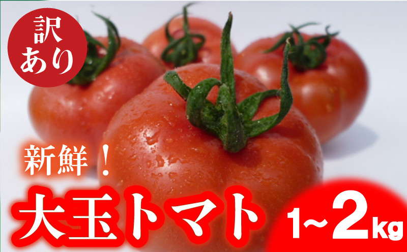 
            トマト 大玉 訳ありトマト 1~2kg 野菜 産地直送 お試し 選べる 容量 予約受付  高糖度トマト リコピン ビタミンC 美容 ご自宅用 ご家庭用 栄養 甘い おいしい トマト お弁当 夕飯 サラダ おかず 先行受付 下関 山口 【 2025年4月中旬以降の発送 】【 期間限定 】
          
