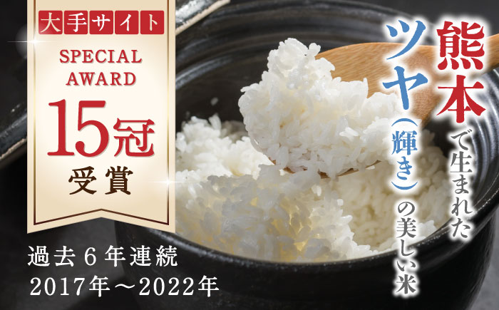 【10月より順次発送】【全6回定期便】くまさんの輝き 無洗米 20kg【有限会社  農産ベストパートナー】 [ZBP135]