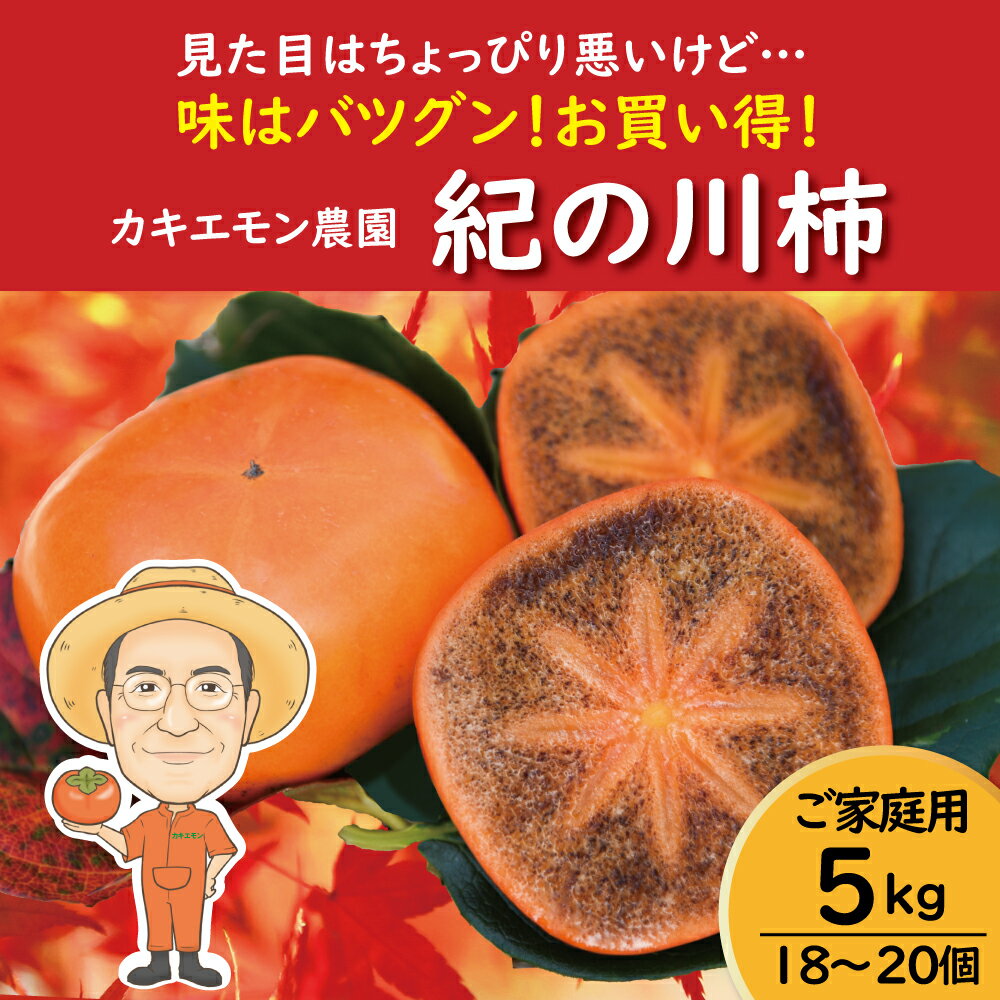 【ふるさと納税】 【訳あり・ご家庭用】紀の川柿 約5kg 18 〜 20個 カキエモン農園 【2025年10月中旬〜11月中旬頃順次発送】 果物 くだもの フルーツ 柿 かき 和歌山 人気 送料無料 | 柿 かき フルーツ 果物 くだもの 食品 人気 おすすめ 送料無料 産地直送