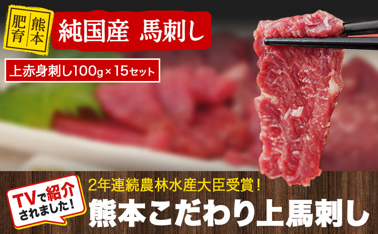 
            上赤身馬刺し100g×15セット(10ml×15袋)《7月中旬-9月末頃出荷》 熊本県 玉名郡 玉東町 馬刺し 国産 赤身 送料無料 肉 タレ付き 1500g 牛肉よりヘルシー
          