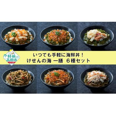 ふるさと納税 陸前高田市 【お手軽海鮮丼】豪華6種セット 冷凍 一膳 いくら かに ほたて めかぶ 松前漬け けせんの海