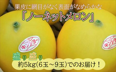 爽やかな初夏の香　キンショーメロン５ｋｇ【B3-049】