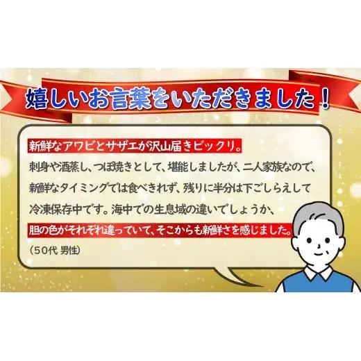 【あわび・さざえ】セット 生食可 1.2kg A176-x
