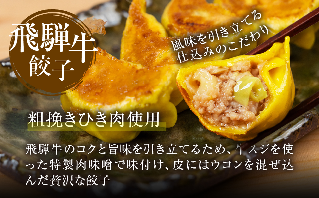 生餃子「飛騨牛餃子 」30個 餃子 ぎょうざ ギョウザ 飛騨牛 飛騨牛 のリッチな風味が口中に広がる！牛肉 肉 和牛 国産 冷凍 総菜 ごはん 晩酌 のお供に お取り寄せ