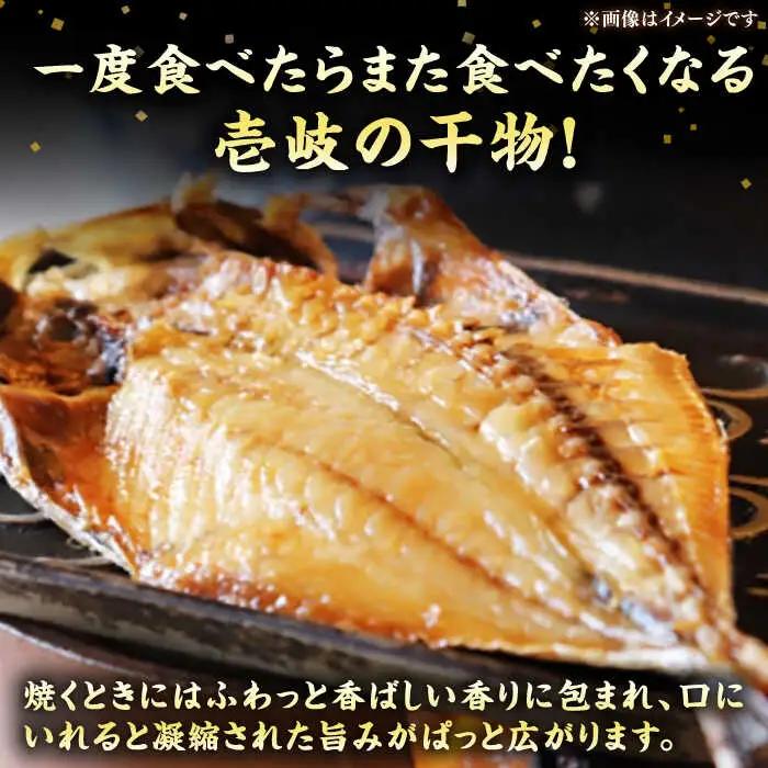 旬の干物 おまかせ詰め合わせ《松》（カマス・アカハタ・鯛など）[JDR003]