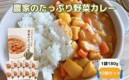 農家のたっぷり野菜カレー 10個／ふるさと納税 レトルトカレー 詰め合わせ ギフト 10食 野菜 ふるさと 有機野菜 オーガニック 飯 簡単 時短 保存食 奈良県 宇陀市 山口農園