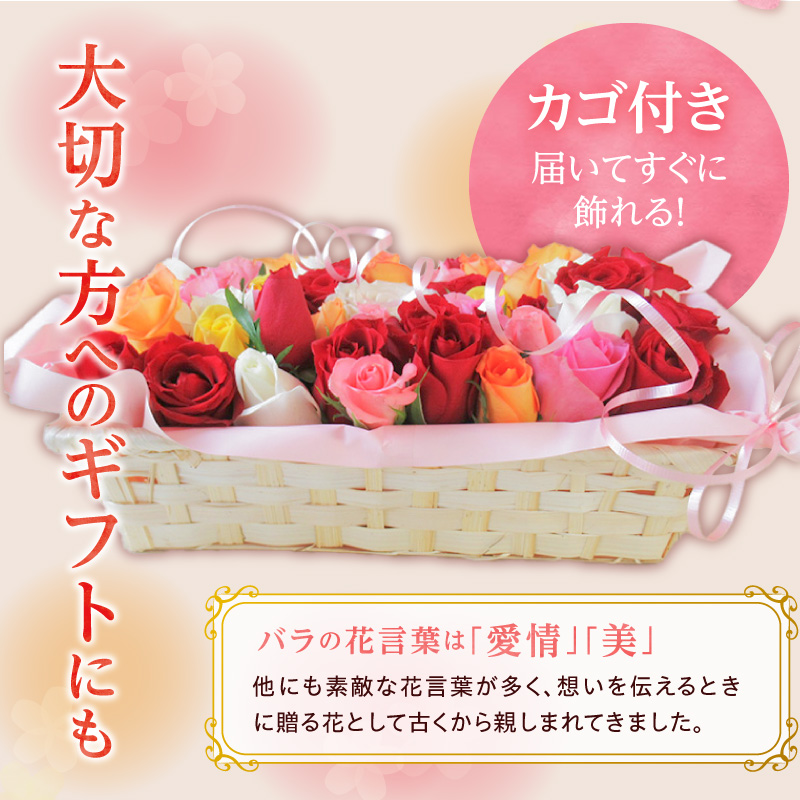 〈日付指定も可能〉 観賞はもちろん！バラ風呂やフラワーシャワーに！ ローズインにゅーよーくミックス５０輪 バラ５０輪詰め合わせ 風呂 薔薇 ローズ ギフト プレゼント ラッピング インテリア お花 フ