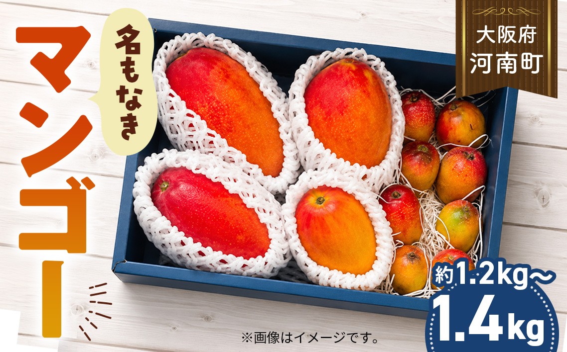 
                  名もなきマンゴー 詰め合わせ 約1.2～1.4kg　大きさ不揃い ／ マンゴー 果物 国産 フルーツ 完熟 詰合せ 珍しい 満足 サイズ バラバラ 大阪府 No.375
                