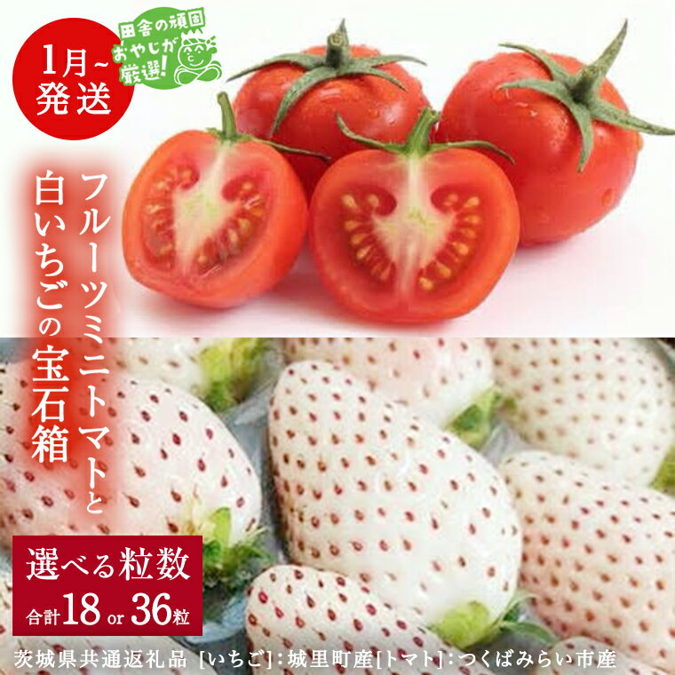 【ふるさと納税】 白いちご と フルーツミニトマトの 宝石箱 【 1月から発送開始 】 （茨城県共通返礼品 [いちご]：城里町産　[トマト]：つくばみらい市産） 詰め合わせ 果物 フルーツ 茨城県産 いちご イチゴ 苺 トマト フルーツトマト ミニトマト