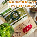 【ふるさと納税】AT2　（焙煎）桑の葉茶　5パック　【 無農薬　お茶　桑　セット　健康茶 無農薬　ティーパック　】