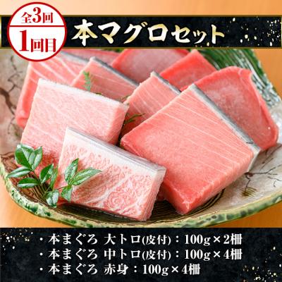 ふるさと納税 いちき串木野市 <3ヶ月定期便>いちき串木野プレミアム定期便(マグロ・鰻・牛肉) |  | 01