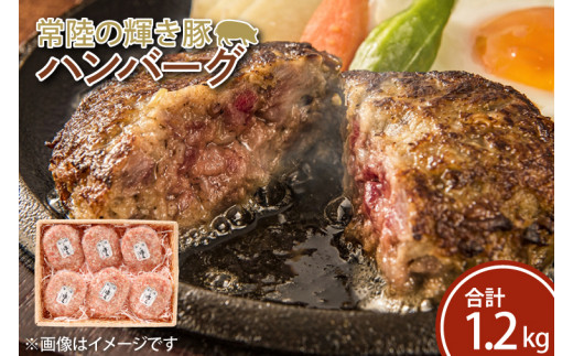 FQ-1　常陸の輝き豚ハンバーグ　約200ｇ×6パック