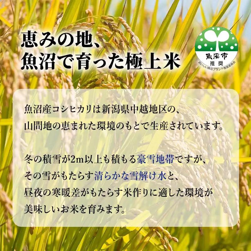 お米アドバイザー厳選 魚沼産コシヒカリ 「蔵」 3kg│コシヒカリ