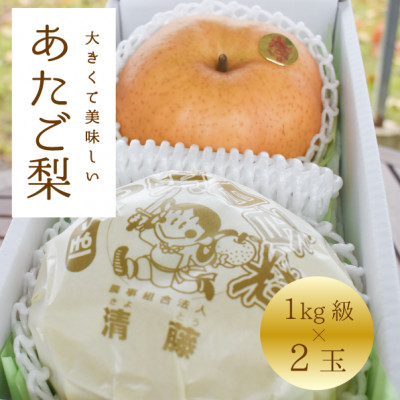【2025年発送】あたご梨 上級品 2玉入(1kg級/玉)(岡山県産)  お歳暮やギフトにおすすめ【1559830】