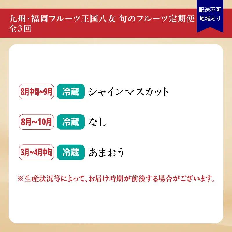 九州・福岡フルーツ王国八女 旬のフルーツ定期便【全3回】＜配送不可：北海道・沖縄・離島＞ フルーツ 定期便 あまおう シャインマスカット 梨 季節のフルーツ 果物 おすすめ セット 産地直送 福岡県 