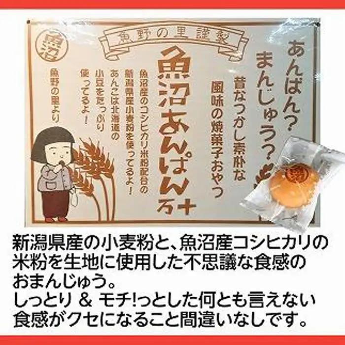 和菓子 焼菓子 まんじゅう 魚沼あんぱん万十 6個×3パック 計18個 　|  あんぱん