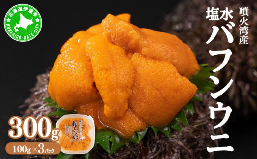 [5525-0663]北海道 噴火湾産 塩水 バフンウニ 100g 3パック 計300g ミョウバン不使用 厳選 うに ウニ 雲丹 海鮮 海の幸 魚介類 ウニ丼 お寿司 濃厚 無添加 産地直送 お取り寄せ 山村水産 送料無料