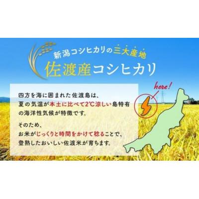 ふるさと納税 佐渡市 【毎月定期便】佐渡産コシヒカリ5kg全2回 |  | 02