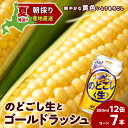 【ふるさと納税】2024年夏発送 キリンのどごし生350ml 12缶＆黄色いとうもろこしゴールドラッシュ7本 北海道千歳産 野菜 とうもろこし とうきび キリンビール 麒麟ビール ビール 【北海道千歳市】ギフト ふるさと納税 麒麟 KIRIN