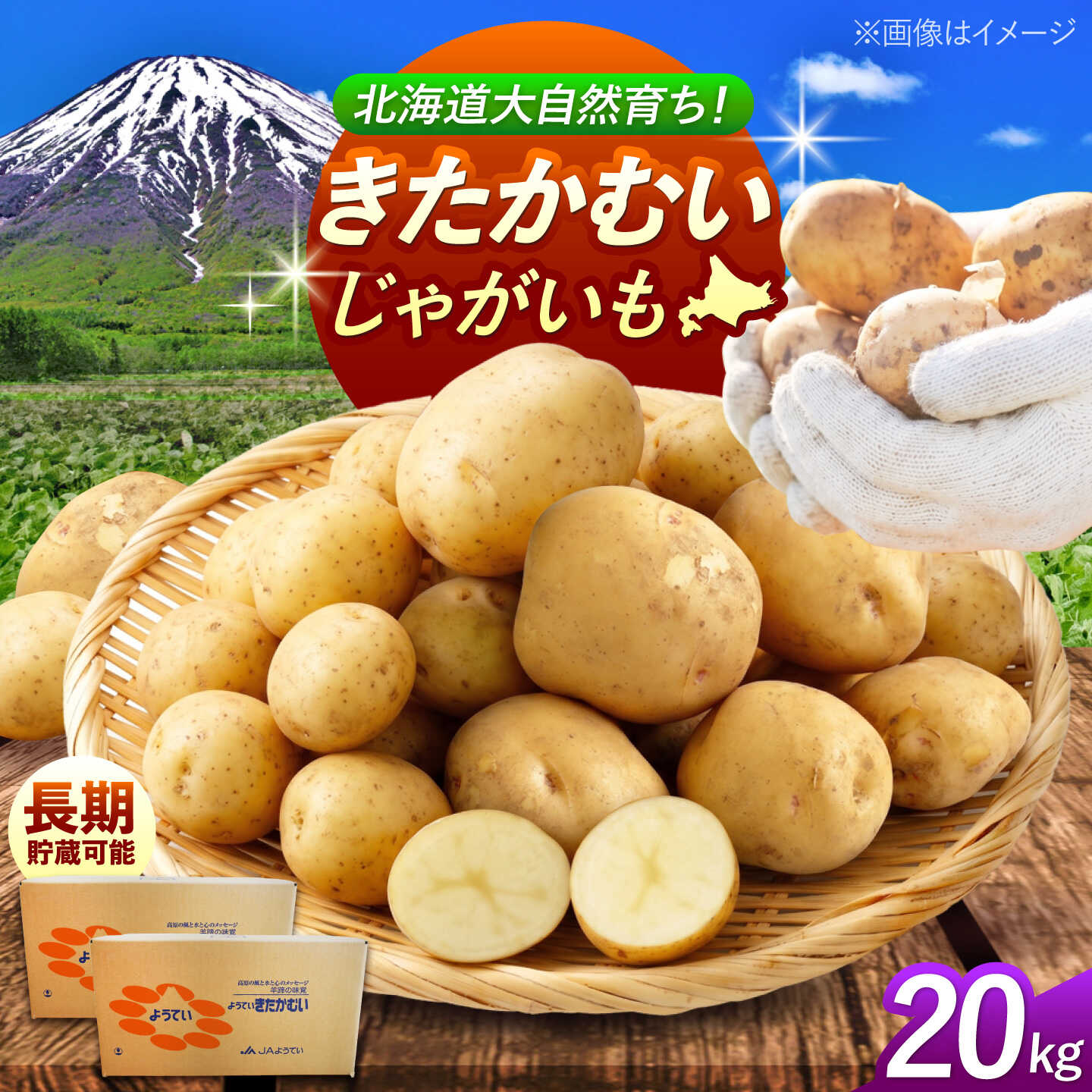 【ふるさと納税】【2027年1月上旬以降順次発送】 じゃがいも きたかむい 20kg | じゃがいも ジャガイモ きたかむい 野菜 季節の野菜 北海道 産地直送 先行予約 | 株式会社Aコープようてい[BPAT009]