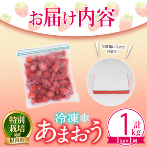 冷凍あまおう (計1kg) いちご イチゴ 苺 あまおう 冷凍いちご 冷凍イチゴ 国産 福岡県 特別栽培 果物 フルーツ アイス ジャム 冷凍フルーツ ＜離島配送不可＞【ksg1785】【うるう農園】