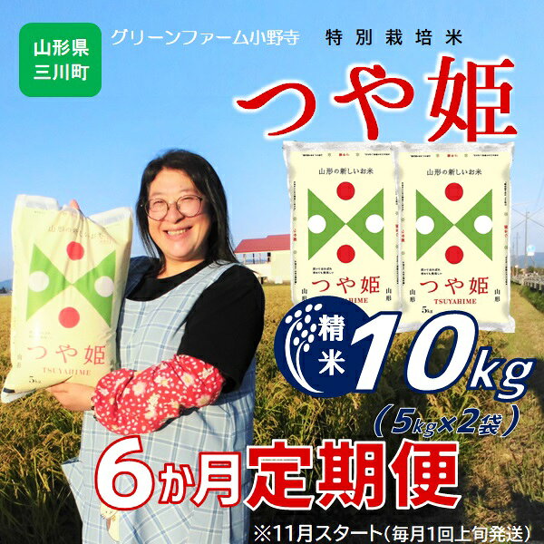【ふるさと納税】【精米】11月・新米スタート【定期便6回】グリーンファーム小野寺のつや姫10kg×6回（計60kg）　※配送期間：令和8年11月～令和9年4月（グリーンファーム小野寺）