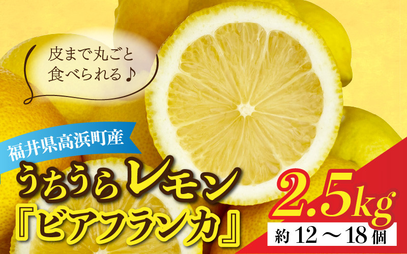 
【先行予約】日本海で育ったうちうらレモン「ビアフランカ2.5kg」皮まで丸ごと食べられます！【1月初旬より順次発送】
