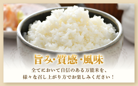 【先行予約】【令和7年産・新米】【一等米】＜定期便3回＞ ハナエチゼン 精米 10kg × 3回（30kg）《発送直前精米！》  ／ ブランド米 華越前 ご飯 お米 白米 新鮮 あわら市産 農家直送 
