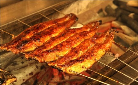 木曽三川ウナギのうなぎまぶし 100g × 3パック 合計300g ／ （刻みの海苔 濃縮出汁 わさび（冷凍）付） ／ うなぎ 鰻 ウナギ 国産 国産鰻 ひつまぶし うなぎまぶし 土用の丑の日 丑の日