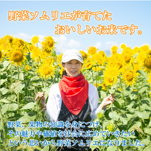 定期便 3回 コシヒカリ 無洗米 5kg 令和6年産 米 こめ ご飯 ごはん おにぎり 白米 精米 新米 無洗米 卵かけご飯 食品 備蓄 備蓄米 保存 防災 ギフト 贈答 プレゼント お取り寄せ グル