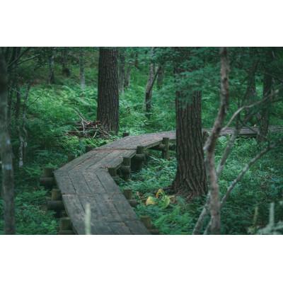 ふるさと納税 飯舘村 いいたてフレグランスキャンドル　1個 |  | 03