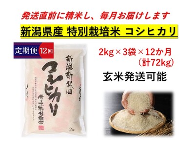 D22　【令和５年産】【定期便】特別栽培米コシヒカリ（２㎏×３袋×12ヵ月）