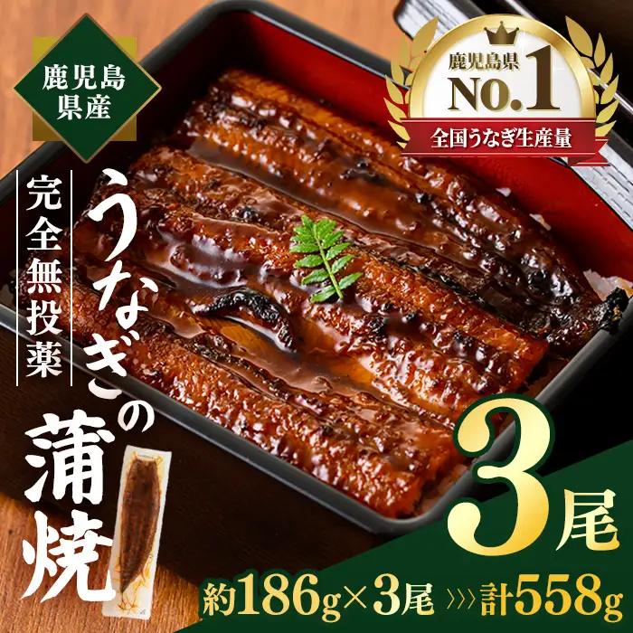 うなぎ 鹿児島県産 蒲焼 うなぎ 【薩摩川内鰻】 A1109