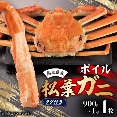 ふるさと納税 北栄町 鳥取県産タグ付きボイル松葉ガニ特大1枚(900g〜1kg)