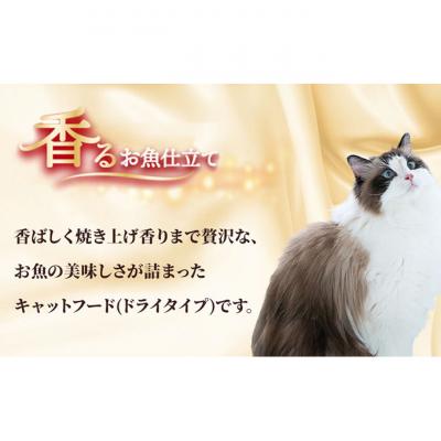 ふるさと納税 伊丹市 銀のスプーン三ツ星グルメ香るお魚仕立15歳頃から4種のアソートお魚レシピ猫のご飯[54030508] |  | 01