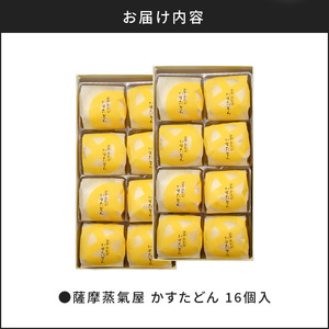 かすたどん 16個入 K167-001 限定 期間限定 菓子 スイーツ 銘菓 蒸し菓子 卵 たまご カスタード カスタードクリーム ふんわり スポンジ ソフト 風味 九州 特産品 鹿児島特産品 お土産