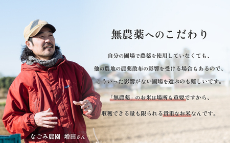 茨城県下妻市産 なごみ米（コシヒカリ） 玄米 2kg　【お米 コシヒカリ 米 無農薬 無化学肥料 無除草剤 玄米 ブランド米 茨城県産】