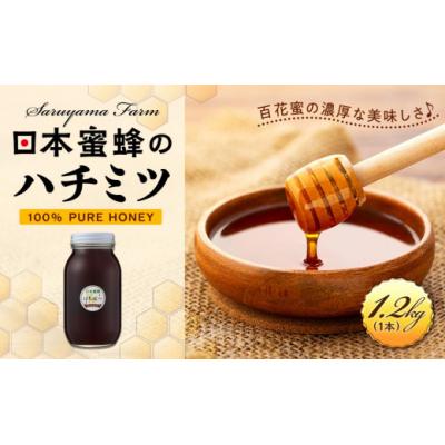 ふるさと納税 栃木市 日本蜜蜂のハチミツ100%!はちみつ1.2kg