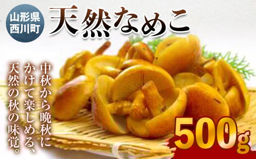 FYN9-026 《先行予約》山形県西川町産 天然なめこ 500g