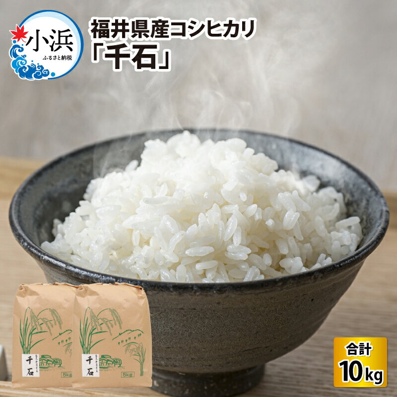 【ふるさと納税】【 先行予約 /10月以降配送】【令和7年産】福井県産コシヒカリ「千石」 10kg / 米 お米 こしひかり 小分け 小浜市 / 千石の郷 [BFCA001]