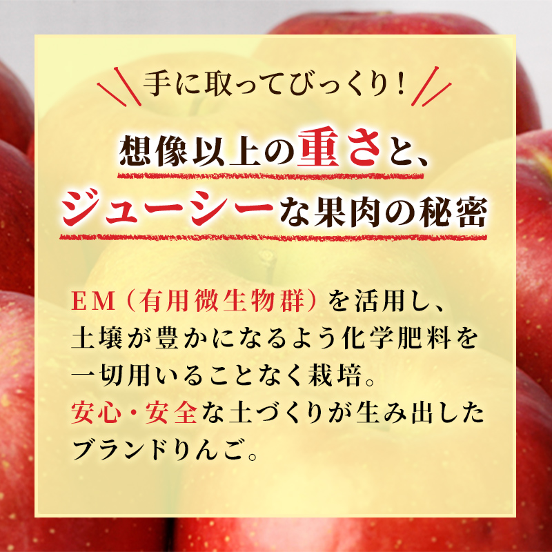 りんご 【 5月発送 】 贈答用 EM 葉取らず ふじ 約 5kg ( 有袋栽培 CA貯蔵 )【 弘前市産 青森りんご 】 リンゴ 果物 青森 弘前 贈答