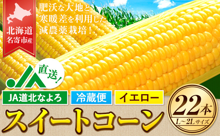 
            令和7年産 北海道 名寄産 スイートコーン イエロー L～2Lサイズ 22本 《2025年8月中旬-9月上旬頃より順次出荷予定》 NPO法人なよろ観光まちづくり協会 北海道 とうもろこし トウモロコシ Lサイズ 2Lサイズ 取り寄せ 新鮮 産地直送 甘い 糖度 冷蔵
          